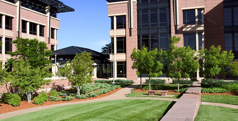 Standards of Excellence